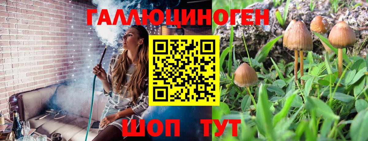 Радужный  купить наркоту  Галлюциногенные грибы Cubensis  Вход с VPN  Псилоцибиновые грибы Psilocybe 