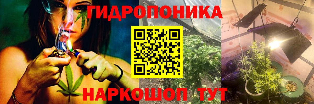 Бошки марихуана план  Вход с VPN  Радужный  Марихуана MAZAR  Бошки Шишки Ganja  Бошки Шишки SATIVA & INDICA 